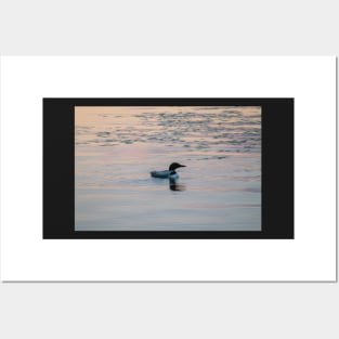 Loon Sunset 3 Posters and Art